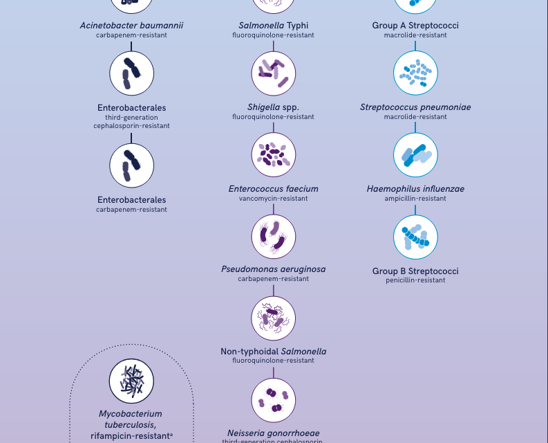 WHO updates list of drug-resistant bacteria most threatening to human health